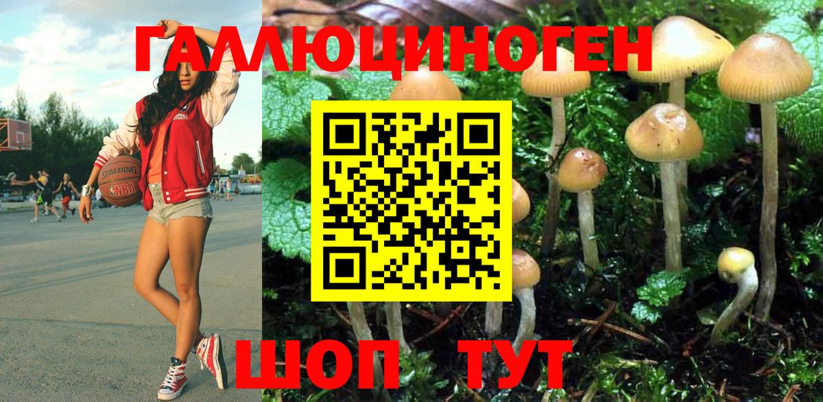 Сегежа  Галлюциногенные грибы Magic Shrooms  Галлюциногенные грибы Psilocybe  Вход с VPN 
