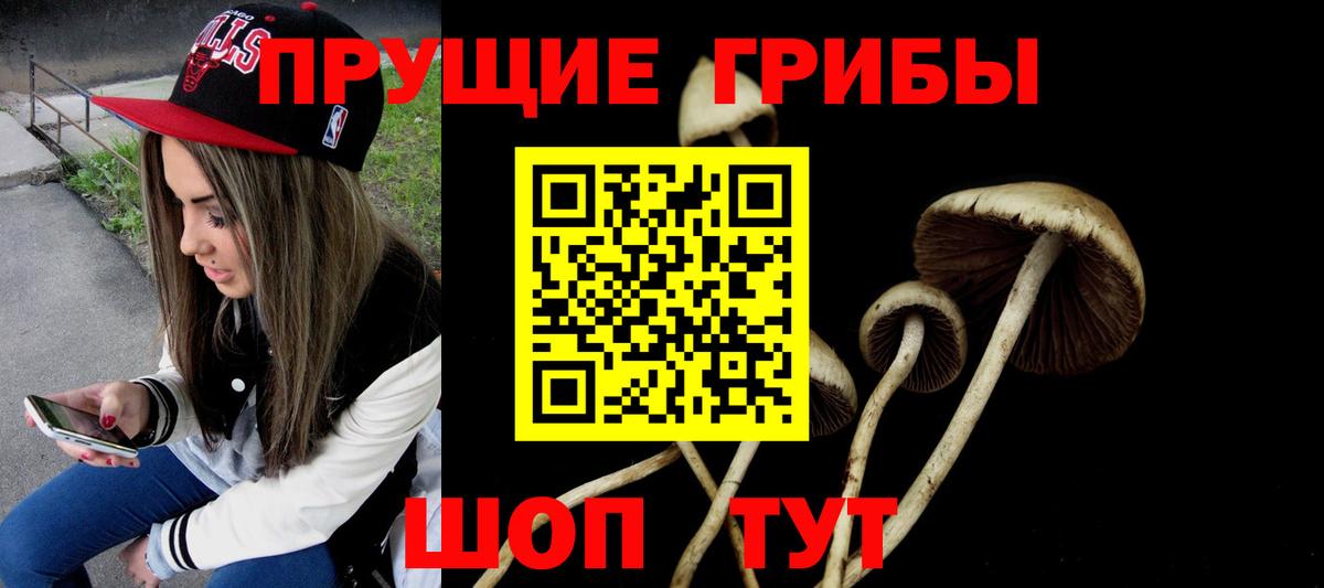 Псилоцибиновые грибы Magic Shrooms Сегежа